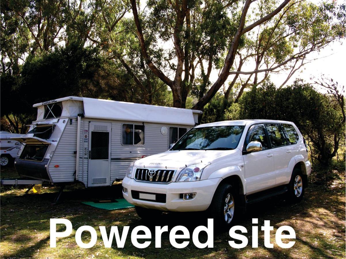 Bimbi Park - Camping Under Koalas Cape Otway Bagian luar foto