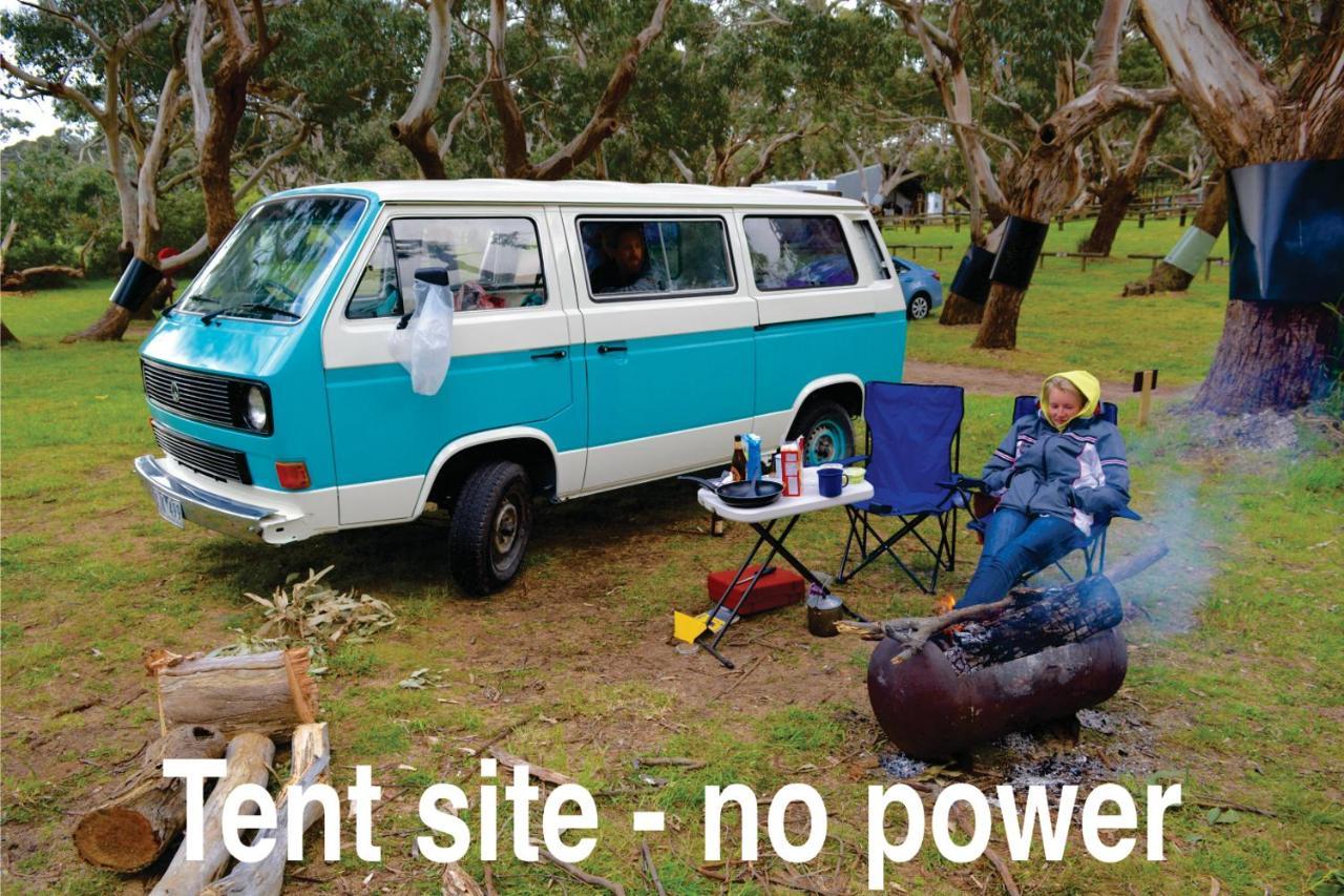 Bimbi Park - Camping Under Koalas Cape Otway Bagian luar foto