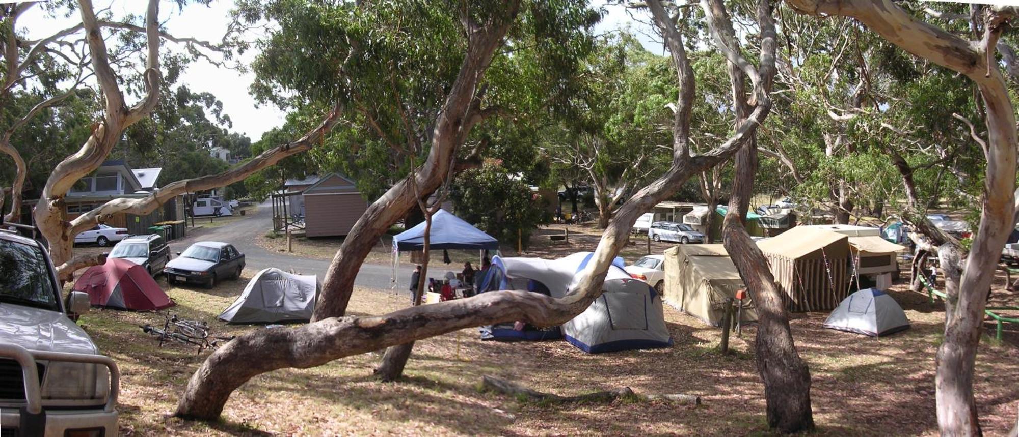 Bimbi Park - Camping Under Koalas Cape Otway Bagian luar foto