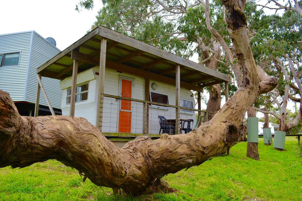 Bimbi Park - Camping Under Koalas Cape Otway Bagian luar foto