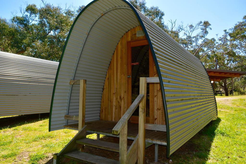 Bimbi Park - Camping Under Koalas Cape Otway Bagian luar foto
