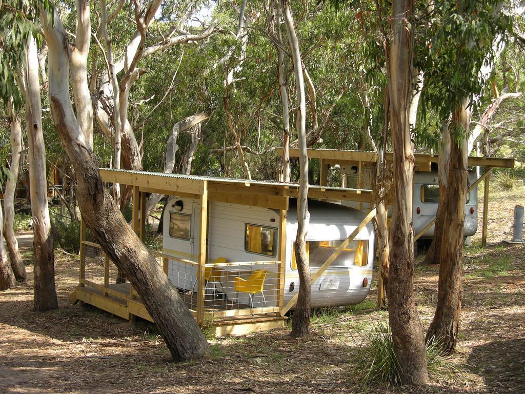 Bimbi Park - Camping Under Koalas Cape Otway Bagian luar foto