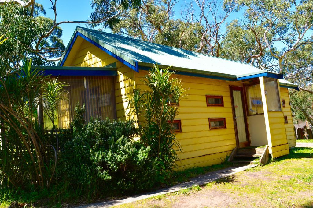 Bimbi Park - Camping Under Koalas Cape Otway Bagian luar foto