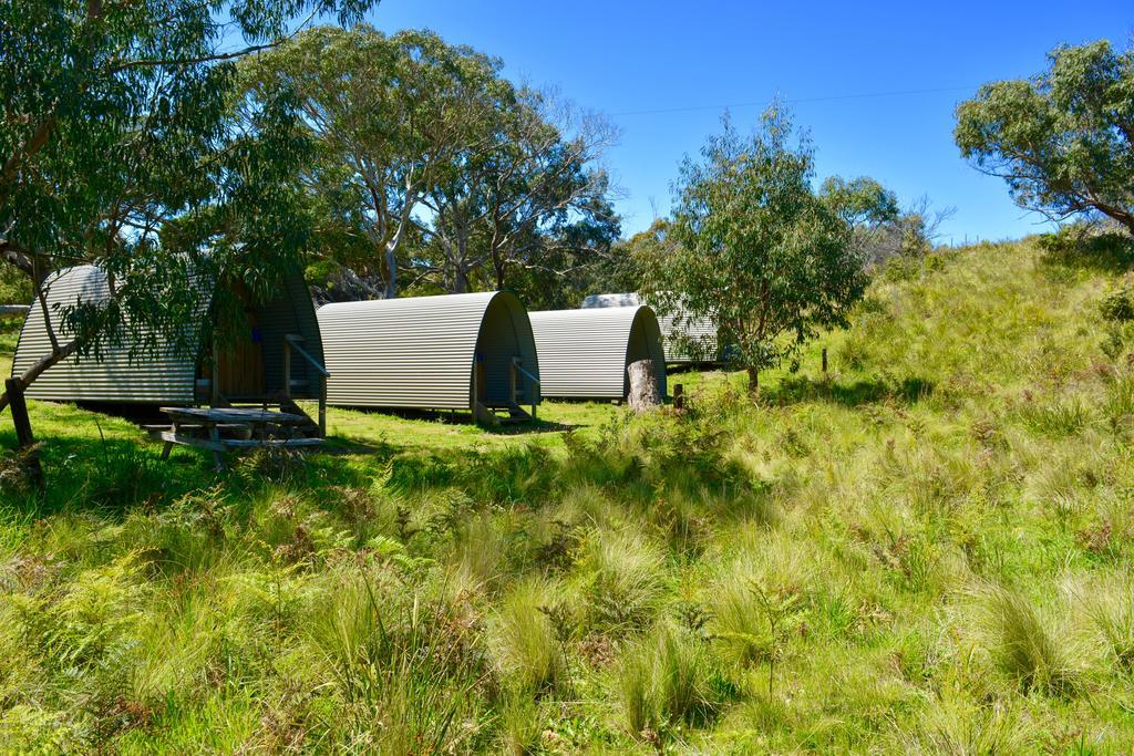 Bimbi Park - Camping Under Koalas Cape Otway Bagian luar foto